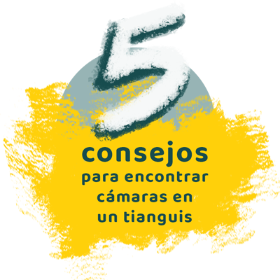 5 consejos salado